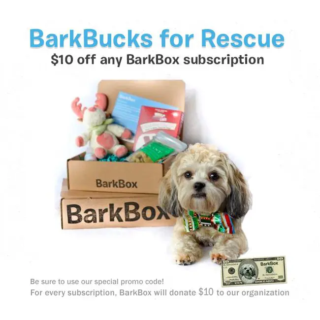 BarkBucks For Rescue!