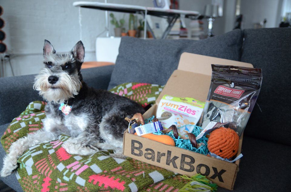 what is barkbox