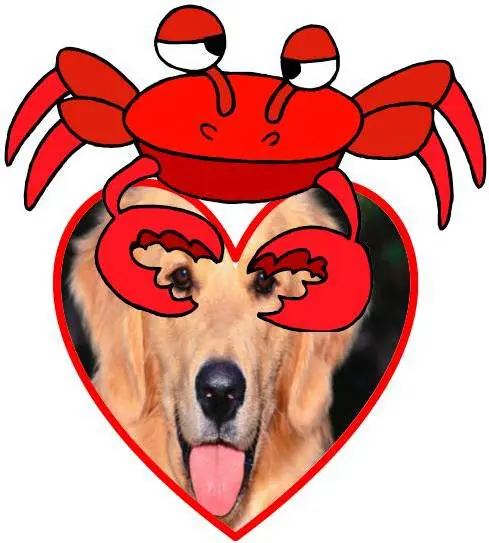 Goldheart Crab Feast
