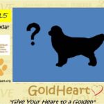 The Search is on for GoldHeart's 2015 Calendar Dogs!
