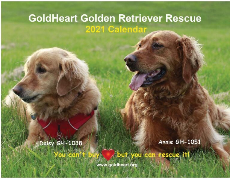 COVER-FOR-WEB-SITE-768x598