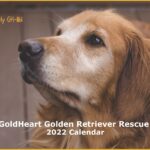 2022-Calendar-Cover-CarlyGH-1161-150x150