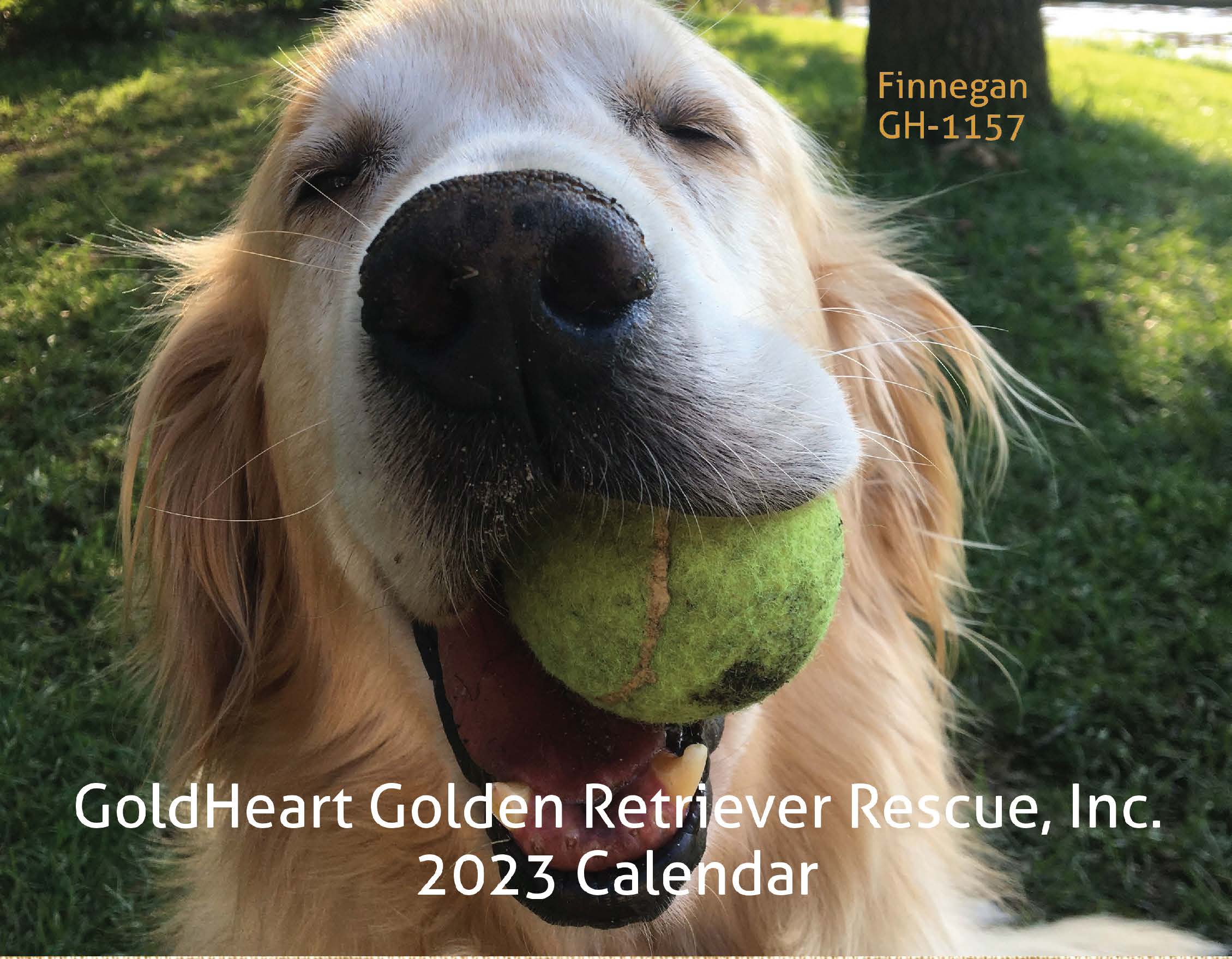 2023 Calendar Goldheart Golden Retriever Rescue 2023 Calendar Goldheart Golden Retriever Rescue
