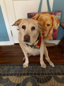 A dog wearing a bandana sitting on a floor with a painting of a dog in the background.