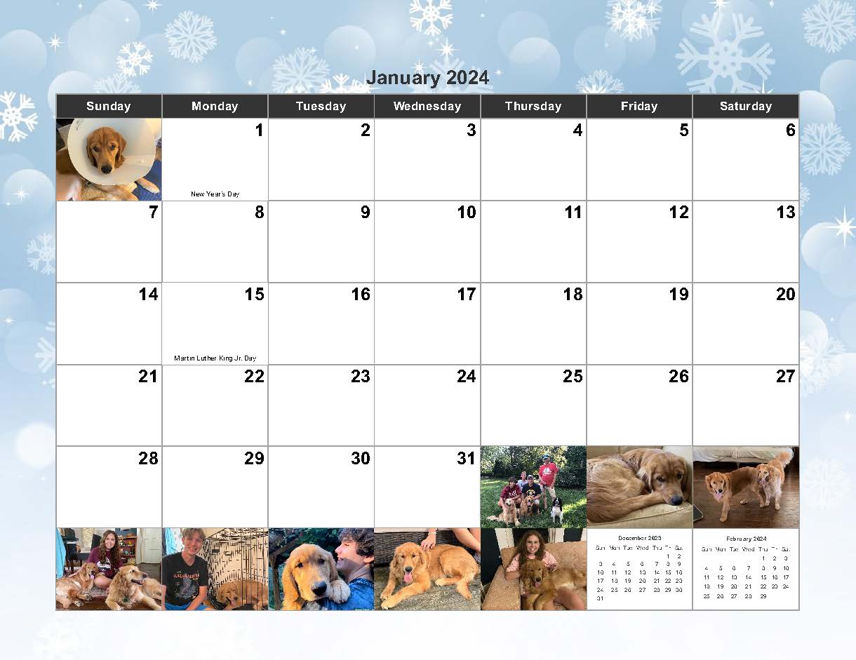 A 2024 calendar page for january featuring multiple images of dogs and people, with some days marked for new year's day and martin luther king jr. day.