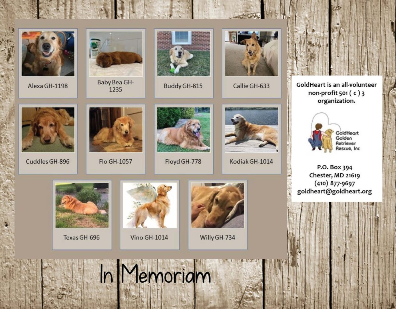 A tribute collage to departed dogs from a volunteer non-profit dog rescue organization, with names and identification numbers under each photo.