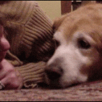 A person and a dog lying face to face on the floor.