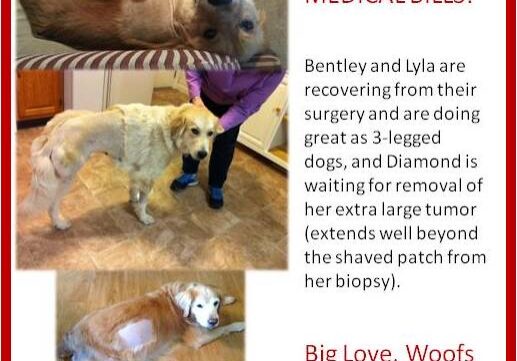 BENTLEY-LYLA-DIAMOND-THANK-YOU