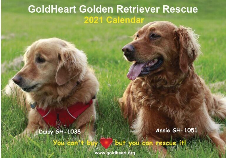 COVER-FOR-WEB-SITE-768x598